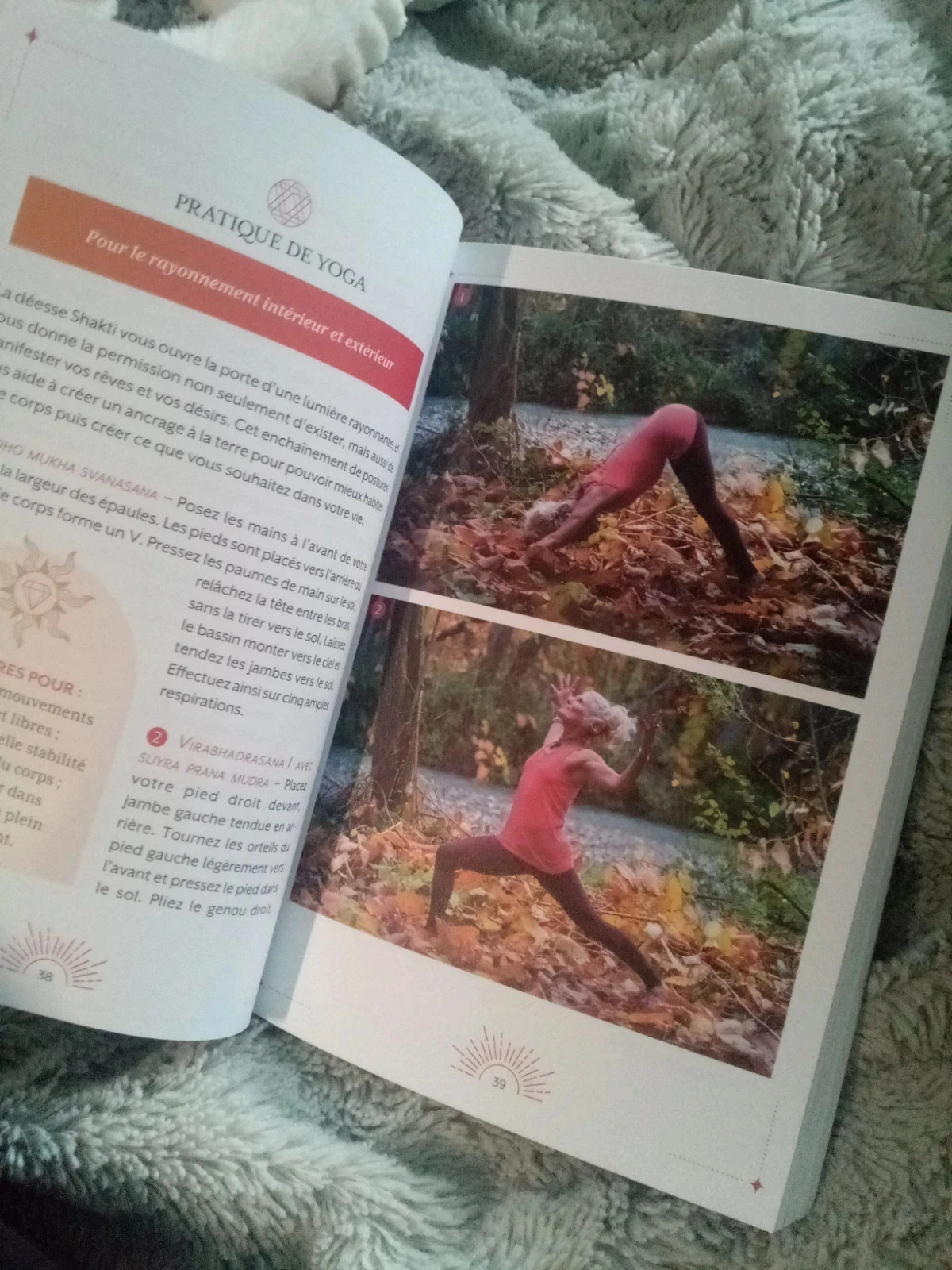 Yogaboek en rituelen van de 9 godinnen – photo 9